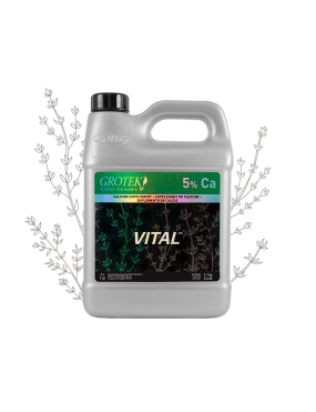 VITAL 4L GROTEK