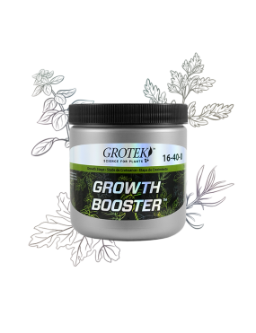GROWTH BOOSTER 300GR GROTEK