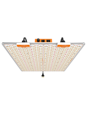 IGNATOR HEROLED F480W