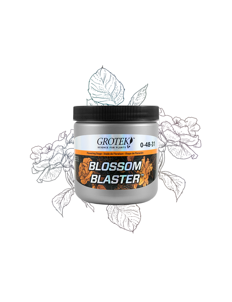 BLOSSOM BLASTER 130 GR GROTEK