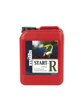 START - R 10L ( MILLS )