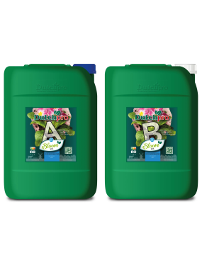 BLOOM SOIL A+B 20L DUTCHPRO...