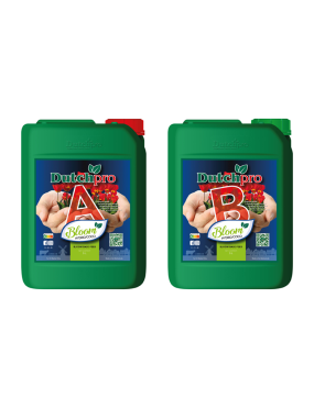 BLOOM A Y B 5L DUTCH PRO