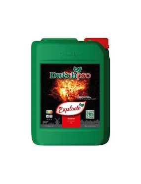 EXPLODE 5L DUTCHPRO