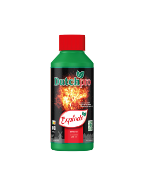 EXPLODE 250 ML DUTCHPRO