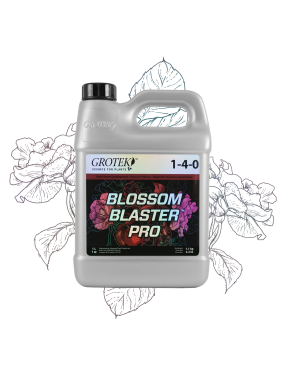 BLOSSOM BLASTER PRO 1L