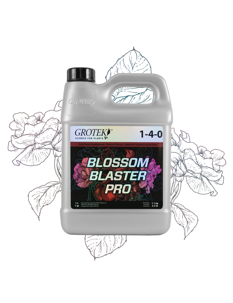 BLOSSOM BLASTER PRO 1L