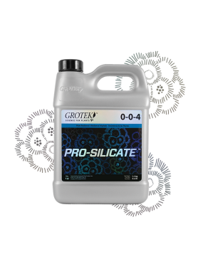 PRO SILICATE 4LT ( GROTEK )