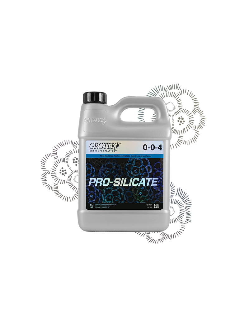 PRO SILICATE 4LT ( GROTEK )