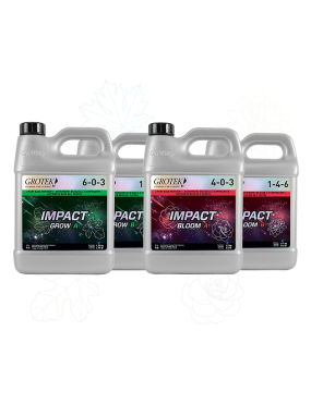 IMPACT GROW B 4 L (GROTEK)