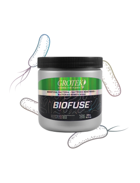 BIOFUSE 300 G GROTEK