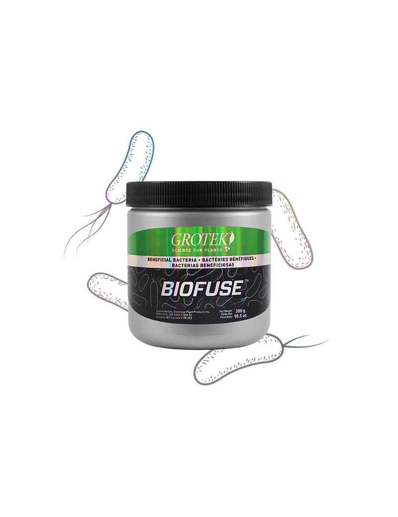 BIOFUSE 300 G GROTEK