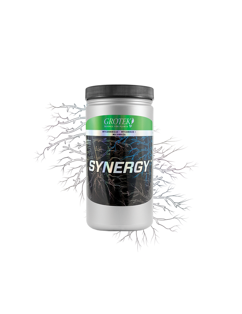 SYNERGY 140 G GROTEK ORGANICS