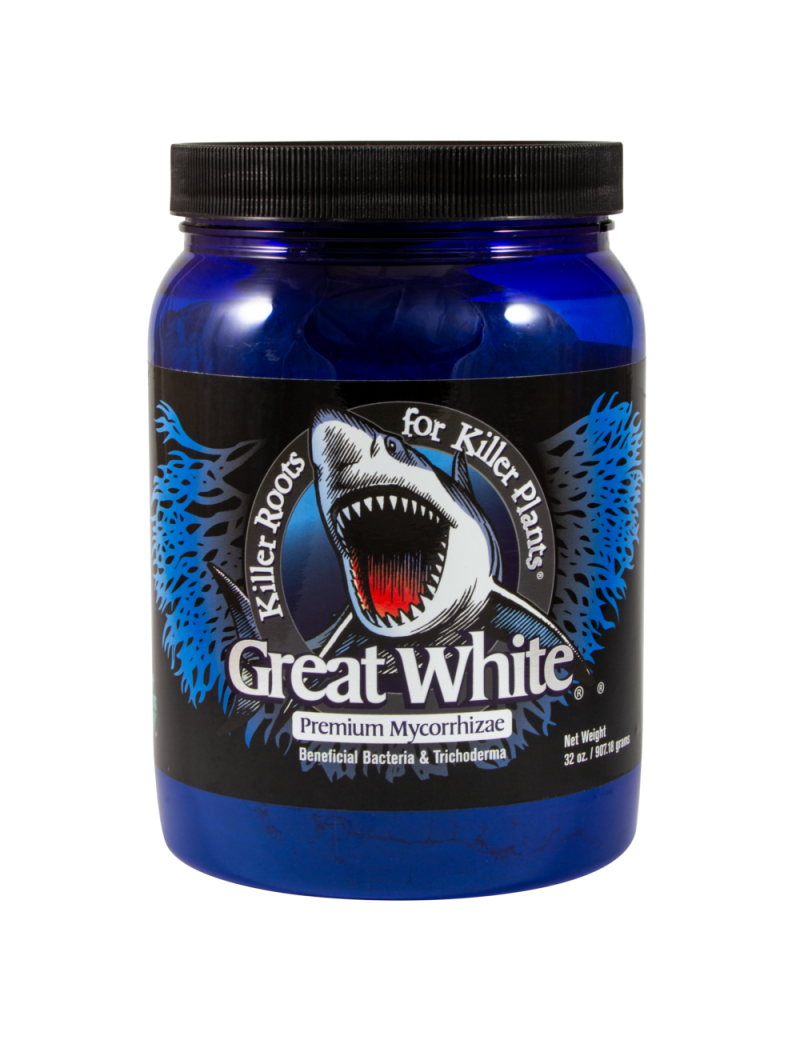 GREAT WHITE SHARK 907,18G