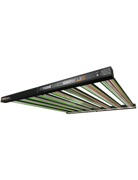 DIMLUX XTREME 1000W LED PRO