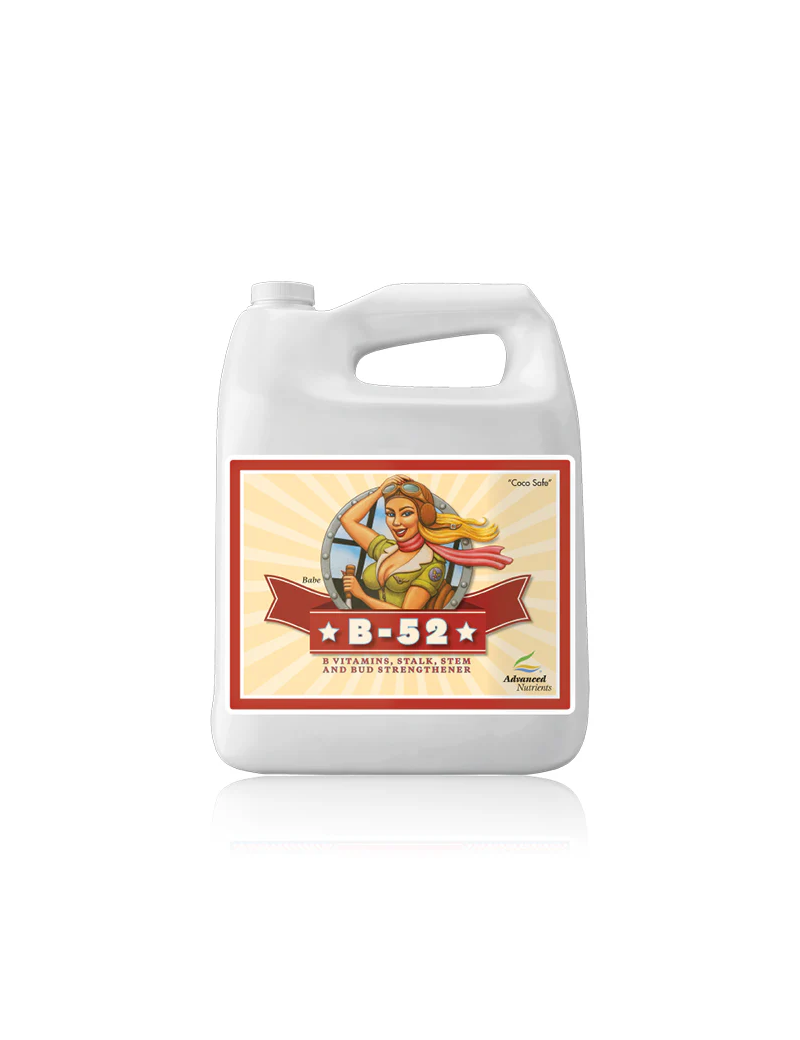 B-52 5L ADVANCED NUTRIENTS