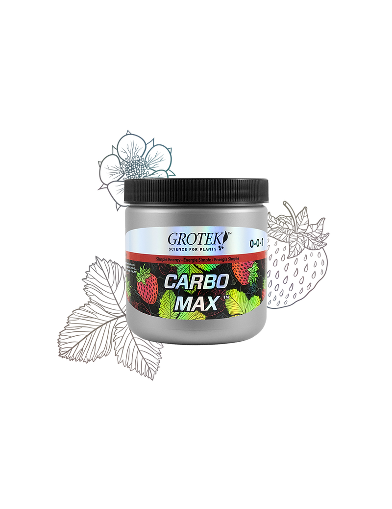 CARBO MAX 300 G GROTEK