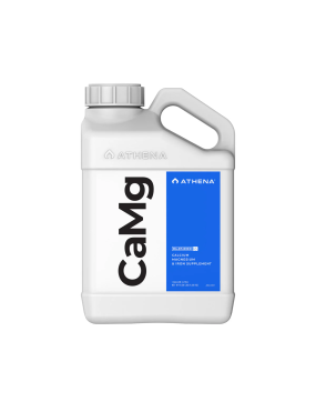 CAMG 3,78L ATHENA