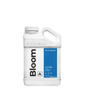 BLOOM A 3,78L ATHENA