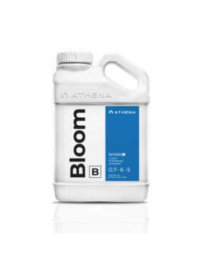 BLOOM B 3,78L ATHENA