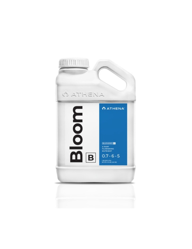 BLOOM B 3,78L ATHENA