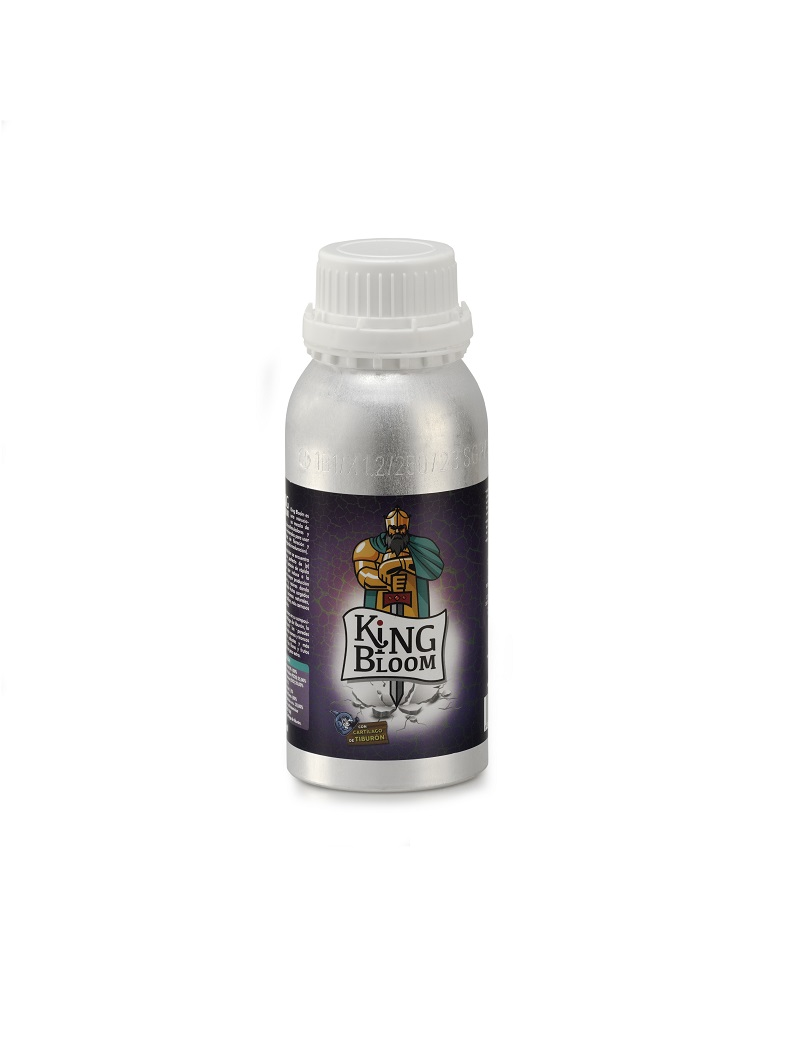 KING BLOOM 600 ML TRABE