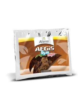 AEGIS SYM IRRIGA 500GR