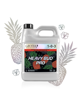 HEAVY BUD PRO 4L GROTEK