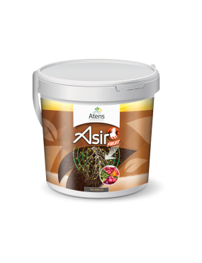 ASIR FRUIT 300 PASTILLAS