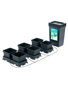 EASY2GROW 6 (MACETA 8,5L)