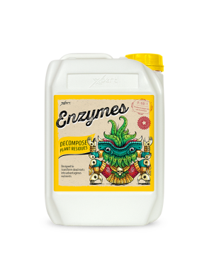 ENZYMES 5L XPERT NUTRIENTS