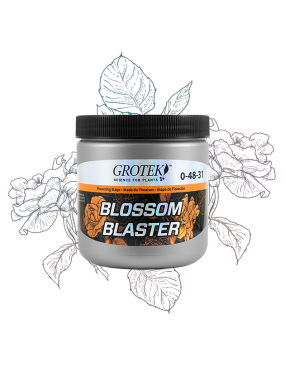BLOSSOM BLASTER 20 G GROTEK