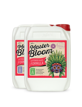 MASTER BLOOM A+B 5L XPERT...
