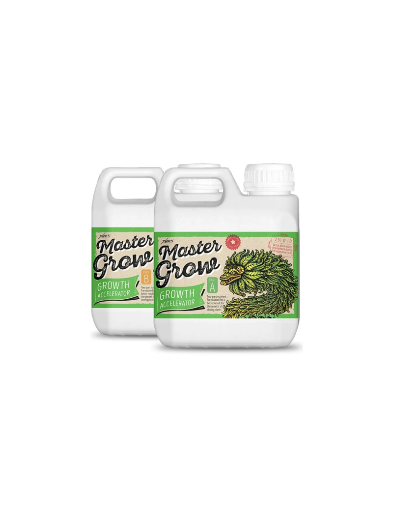 MASTER GROW A+B 1L XPERT NUTRIENTS