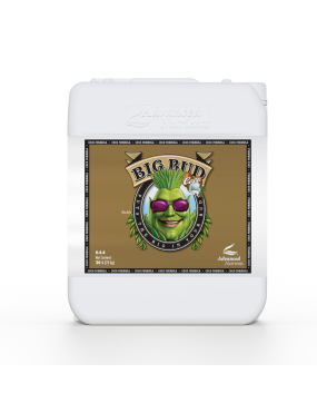 BIG BUD 20L ADVANCED NUTRIENTS