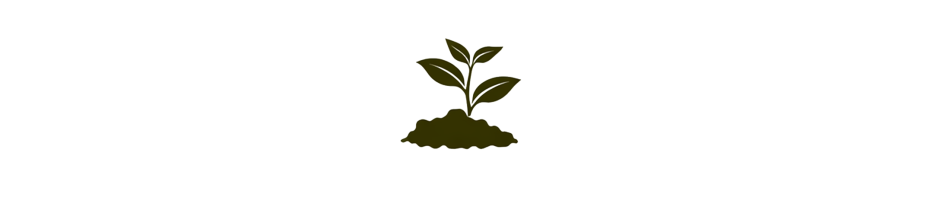 Sustratos | La Roca Green Village - Medios de Cultivo para Tierra, Coco e Hidroponía