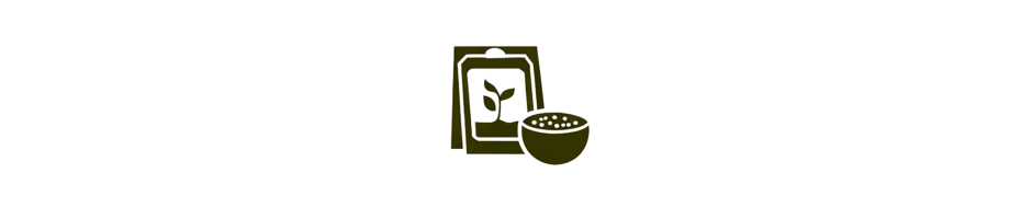 Semillas | La Roca Green Village - Genética de Calidad para Cultivo Interior y Exterior