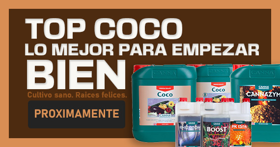 la-roca-green-village_banner-top-coco