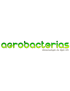 Agrobacterias