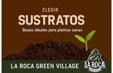 Cómo elegir el sustrato ideal para cada etapa de tu cultivo
