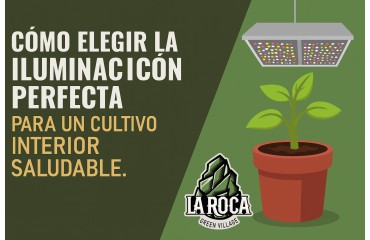 Cómo elegir la iluminación perfecta para un cultivo interior saludable